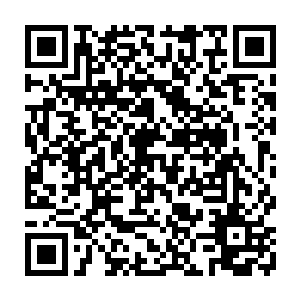 外加容觐怀中的小奶娃已经位于南耀国都城中的最大酒楼的二楼其中一间雅间内二维码生成