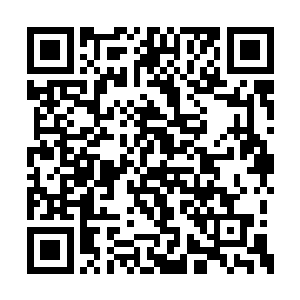 外域由天罗地网延伸的五脉法术最擅长这种分担二维码生成