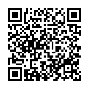 外形看起来则很像是在地球上已经灭绝了的恐龙二维码生成