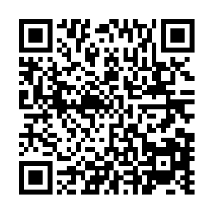 外来的庞大力量与林封谨体内的力量顿时产生了剧烈的反应二维码生成