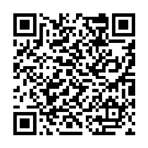 外界却因为那一枚极品开天丹而掀起一阵腥风血雨二维码生成