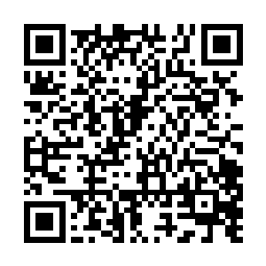 外界每天只管定时投下最多三分之一人的食物分量二维码生成