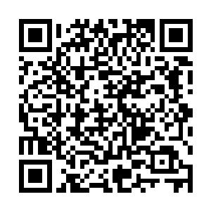 外界的刺激或许能让我追朔到我一半仙力的去向~二维码生成