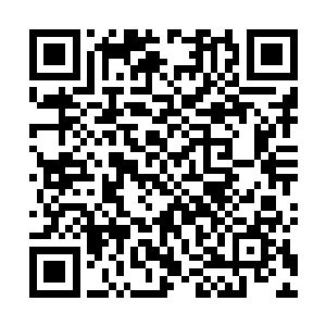 外界还风传这次长空酒业拿出了150万的宣传费给评委会二维码生成