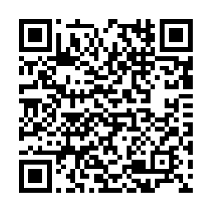 外界都在传她以前是玩家就靠主神才能如此快进阶二维码生成