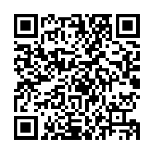 外部余孽长久占用六道当年的遗留渠道享用花不完的资源二维码生成