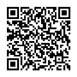 外门弟子如果没事最好别去内门弟子活动的区域二维码生成