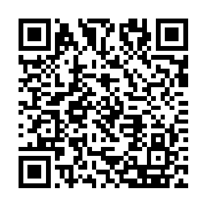 外面也没听到有什么势力要抓捕孟猊和龙家人的消息二维码生成