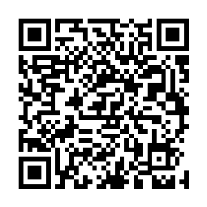 外面传来一阵跑动声--很多人跑动的声音--白小飞的手二维码生成