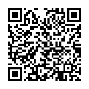 外面便有一名早就等候的使女捧着一个匣子走了进来二维码生成