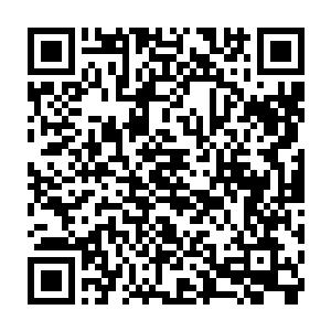 外面几个挤着脑袋想看看丁长生和他们的老板到底是什么关系的家伙一脸的失望二维码生成