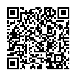 外面布置了一重又一重出自仙尊境九重天强者的顶级大阵二维码生成