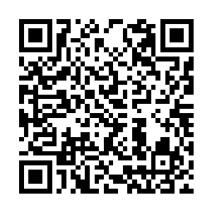 外面的人看到战斗这么快就结束了也带着几分恍惚二维码生成