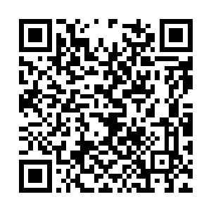 外面的光明市民非常麻烦他们的战斗力并不是问题二维码生成