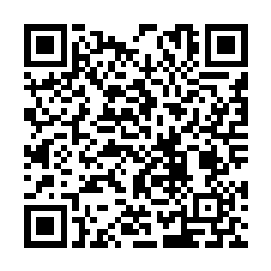 外面站着的人低声询问低头看不见表情的容家公子二维码生成