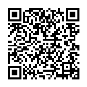外面那些士兵又是怎么以诡异的状态活的那么久的二维码生成