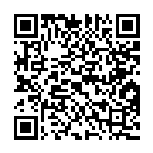 外面那些被炼制出来的实验品依旧在进行着自爆式冲锋二维码生成