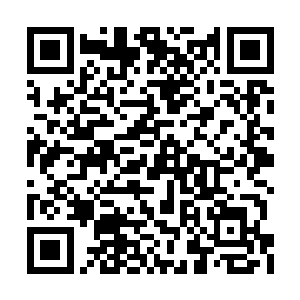 多一两块地阶魔神之骨还是无法确保他突破帝级二维码生成