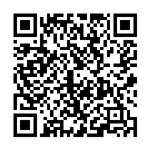 多么熟悉的感觉啊……以前自己也经历过同样的场景吗二维码生成