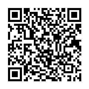 多余的食物多换点奴隶不是比给那些老不死的更值得二维码生成