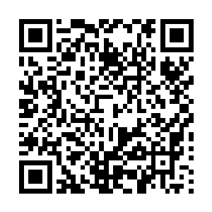 多出了些许不屑和嘲讽……他以为宋链身为蓬莱嫡传的弟子二维码生成