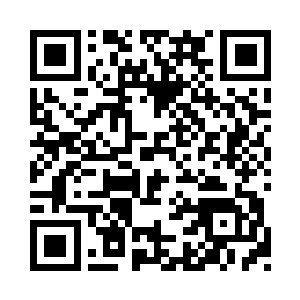 多半是因为我身后这颗枯树引起了它的注意二维码生成