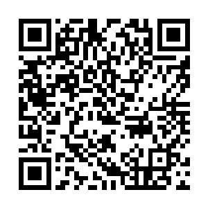 多半是想要在袁亦菲的面前展示一下自己的财力……哼二维码生成