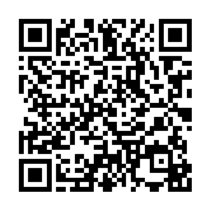 多半是来检查消防或卫生或者查营业执照之类的二维码生成