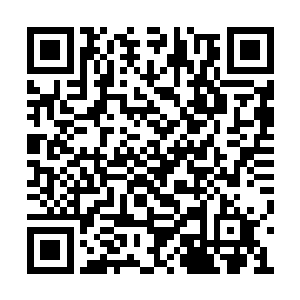 多去几个人跟凌菲一起去山那边多装些狼粪回来二维码生成