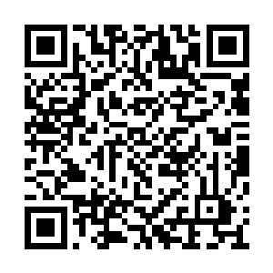 多多少少也因为颜涵明严厉的管教所导致的结果二维码生成