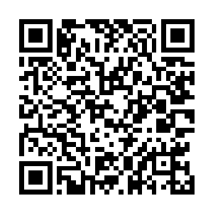 多多罗听见阿德里克的声音像是重锤般敲打着自己的心脏二维码生成