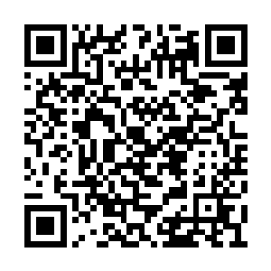 多少人求爷爷告奶奶都拿不到那么长的放映周期二维码生成