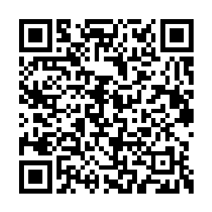 多少六劫真神停留在高阶巅峰境界数千年数万年二维码生成