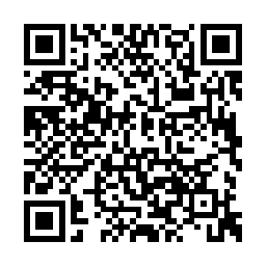 多少弥补了这个遗憾――虽然他们并非真正人类二维码生成