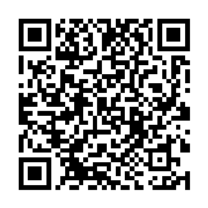 多少是制作人或者经纪公司以及明星演员带来的项目二维码生成