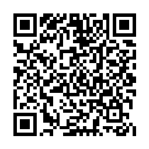 多少瞧出来闻春意的确是没有多少功利心思的人二维码生成