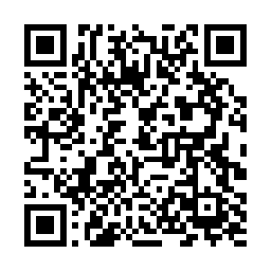 多尼仓促做出扑救的动作――他已经注定抢不到球了二维码生成