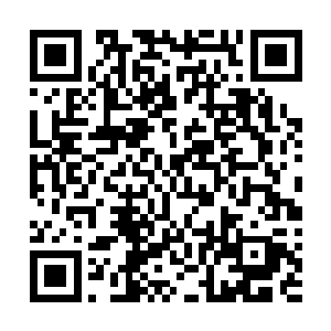 多年前她曾帮助杜老爷成功的拖延了一单生意的交货日期二维码生成