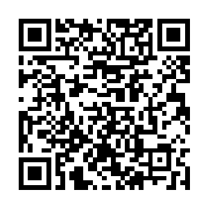 多年前师兄弟们不畏寒暑刻苦练功的往事历历在目二维码生成