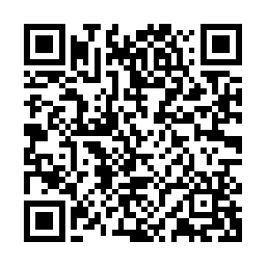 多年前烈焰佣兵团在魔兽山脉遭遇一只五阶魔兽金毛虎王的追杀二维码生成