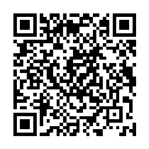 多年塑造出的坚如磐石的堡垒总是会被阿九轻轻一笑击倒二维码生成