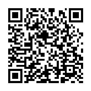 多康好奇地看了看那个拼起来的并不算细致的骨架二维码生成