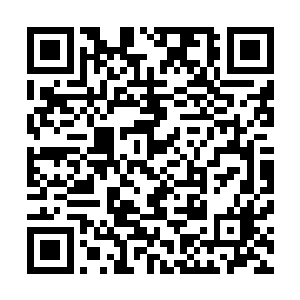 多支轻重机枪同冲锋枪一起激射着暴雨般的子弹向他们打来二维码生成