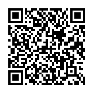 多瓦猜就好像一个小学生在上课一样老师说一句就点一下头二维码生成