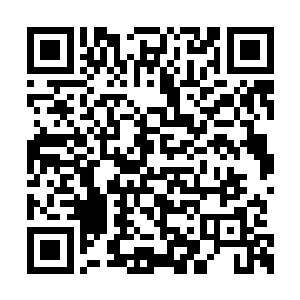 多鲁因现在就非常地为自己上次的举动感到后悔二维码生成