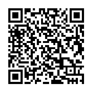 夜之花被人用一种巧妙的手法镶嵌在了寒光之握中二维码生成