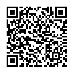 夜叉小队从一座正在全面维修的大厦地下室中出现二维码生成