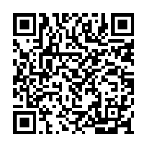 夜叉小队的成员对通灵圣殿的真相似乎早有了解二维码生成