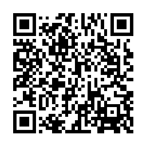 夜家主低沉的嗓音里带着隐晦的听不清楚的情绪二维码生成