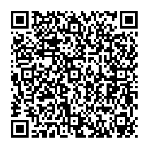 夜尊显得有些癫狂较好的面容也应为狰狞而有些扭曲她抬起手指着风清扬眼中的杀意几乎要化作了实质二维码生成